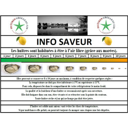 Huîtres Pousse en claire N° 2 – Direct Producteur