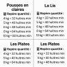 Huîtres Pousse en claire N° 2 – Direct Producteur